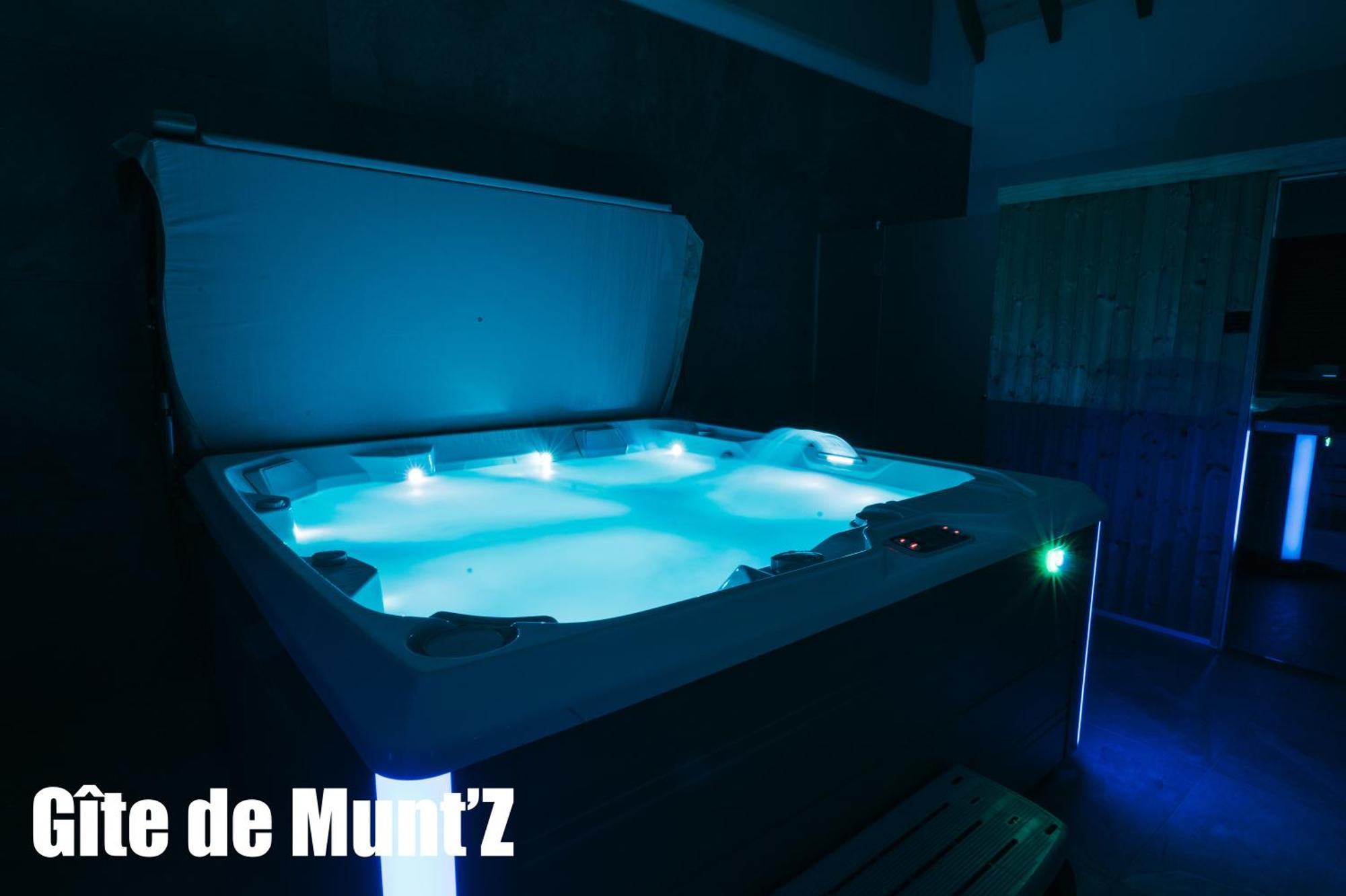 Gite De Munt'Z Spa, Sauna, Piscine, Proche De Colmar Muntzenheim Εξωτερικό φωτογραφία